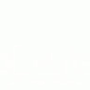 Meet your Posher, Martin